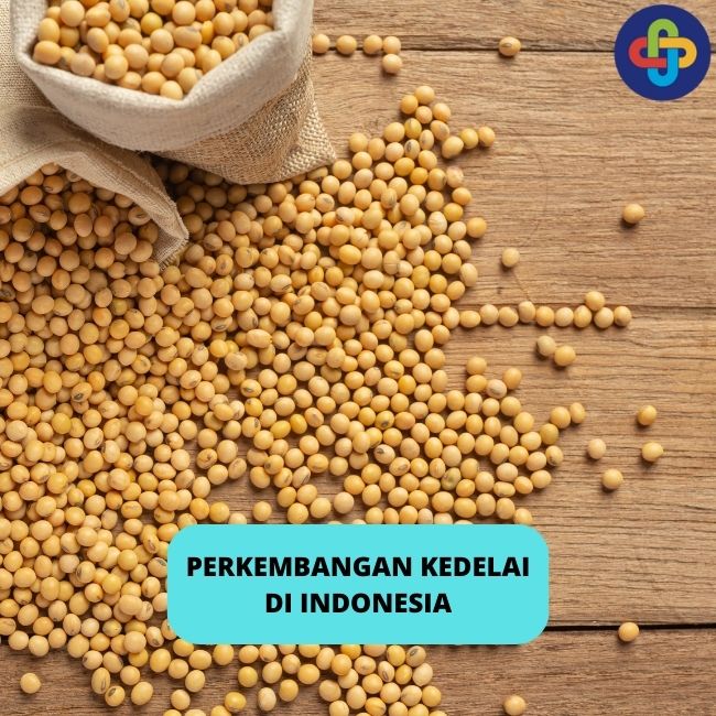 5 Informasi Terkait Dengan Perkembangan Kedelai di Indonesia